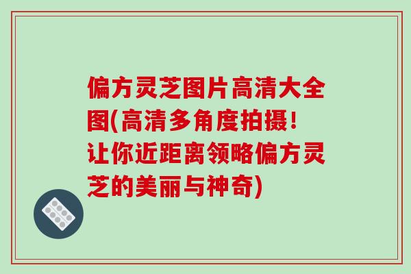 偏方灵芝图片高清大全图(高清多角度拍摄!让你近距离领略偏方灵芝的美丽与神奇)