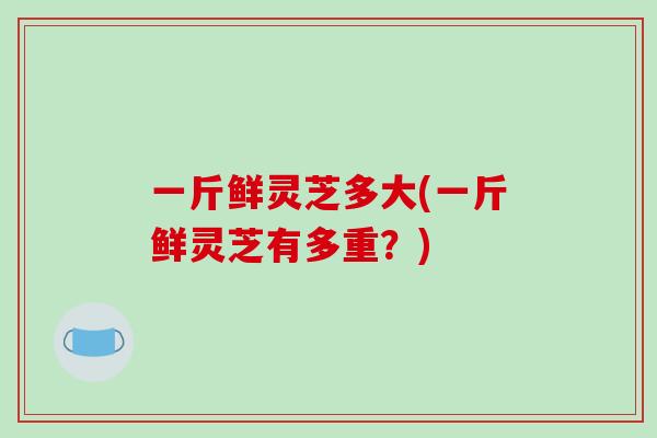 一斤鲜灵芝多大(一斤鲜灵芝有多重?)