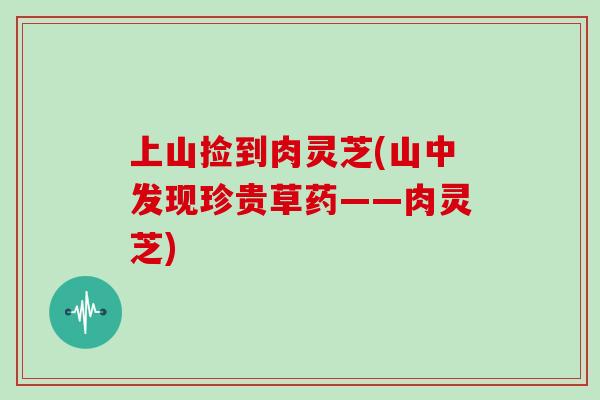上山捡到肉灵芝(山中发现珍贵草药——肉灵芝)