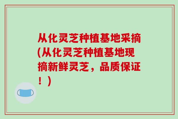 从化灵芝种植基地采摘(从化灵芝种植基地现摘新鲜灵芝,品质保证!)
