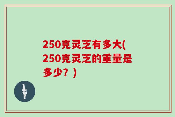 250克灵芝有多大(250克灵芝的重量是多少?)