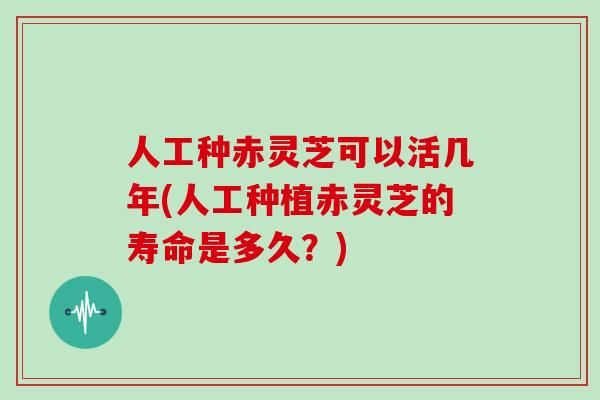 人工种赤灵芝可以活几年(人工种植赤灵芝的寿命是多久?)