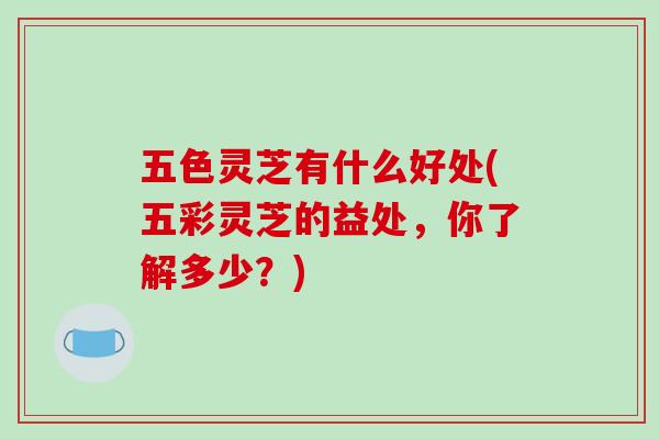 五色灵芝有什么好处(五彩灵芝的益处，你了解多少？)