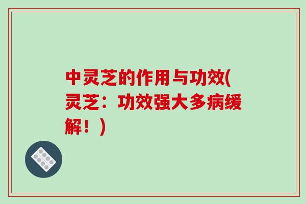 中灵芝的作用与功效(灵芝:功效强大多病缓解!)