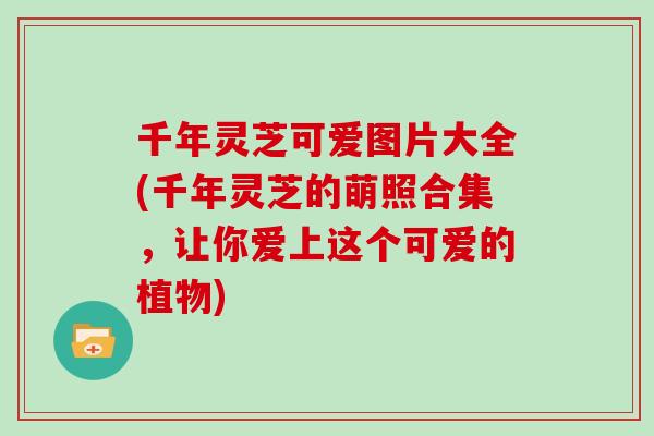 千年灵芝可爱图片大全(千年灵芝的萌照合集,让你爱上这个可爱的植物)
