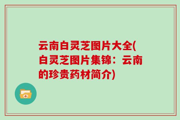 云南白灵芝图片大全(白灵芝图片集锦:云南的珍贵药材简介)