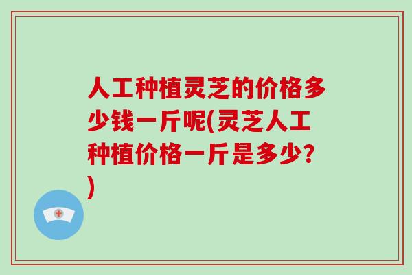 人工种植灵芝的价格多少钱一斤呢(灵芝人工种植价格一斤是多少?)