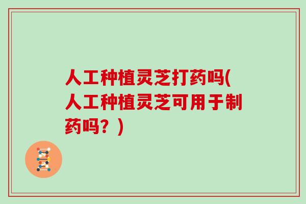 人工种植灵芝打药吗(人工种植灵芝可用于制药吗？)