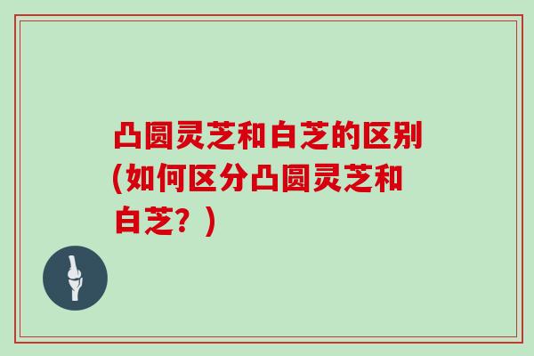 凸圆灵芝和白芝的区别(如何区分凸圆灵芝和白芝?)