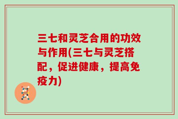 三七和灵芝合用的功效与作用(三七与灵芝搭配,促进健康,提高免疫力)