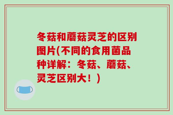 冬菇和蘑菇灵芝的区别图片(不同的食用菌品种详解：冬菇、蘑菇、灵芝区别大！)