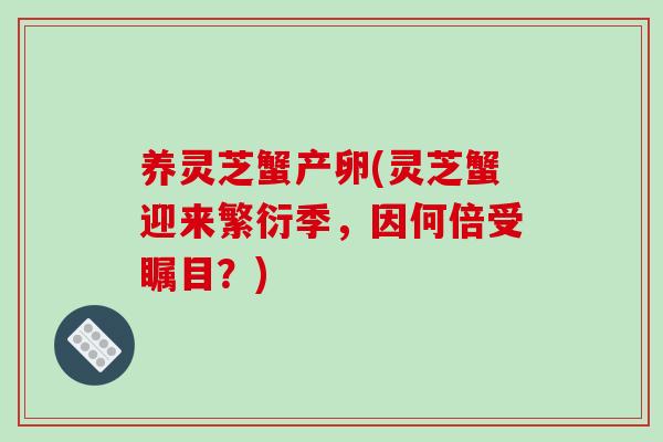 养灵芝蟹产卵(灵芝蟹迎来繁衍季,因何倍受瞩目?)