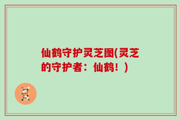 仙鹤守护灵芝图(灵芝的守护者:仙鹤!)