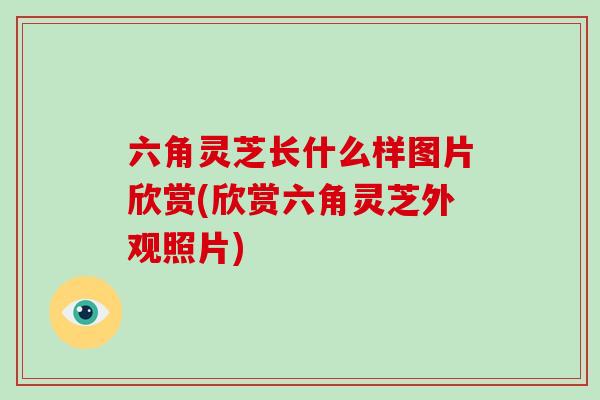 六角灵芝长什么样图片欣赏(欣赏六角灵芝外观照片)