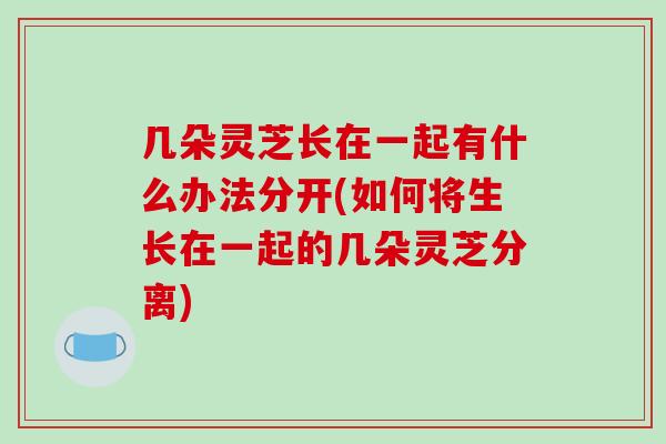 几朵灵芝长在一起有什么办法分开(如何将生长在一起的几朵灵芝分离)