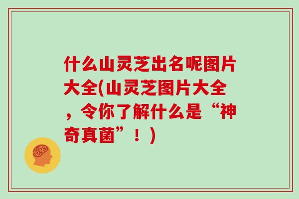 什么山灵芝出名呢图片大全(山灵芝图片大全,令你了解什么是“神奇真菌”!)