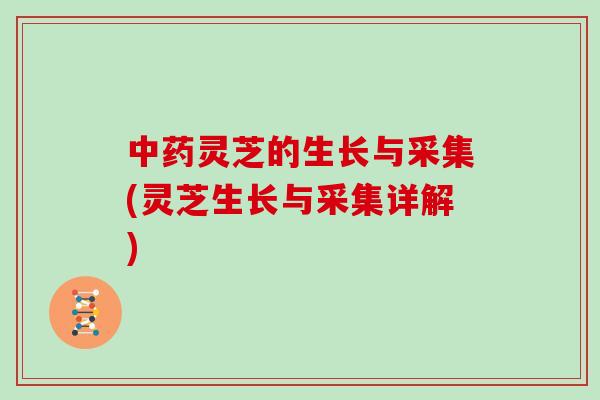 中药灵芝的生长与采集(灵芝生长与采集详解)