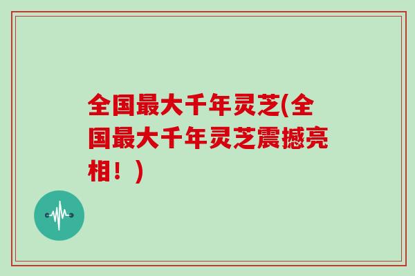 全国最大千年灵芝(全国最大千年灵芝震撼亮相!)