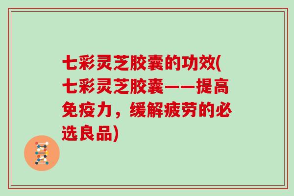 七彩灵芝胶囊的功效(七彩灵芝胶囊——提高免疫力，缓解疲劳的必选良品)