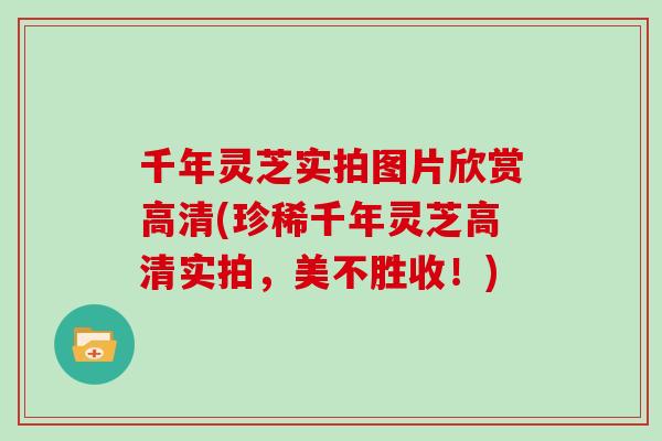 千年灵芝实拍图片欣赏高清(珍稀千年灵芝高清实拍,美不胜收!)