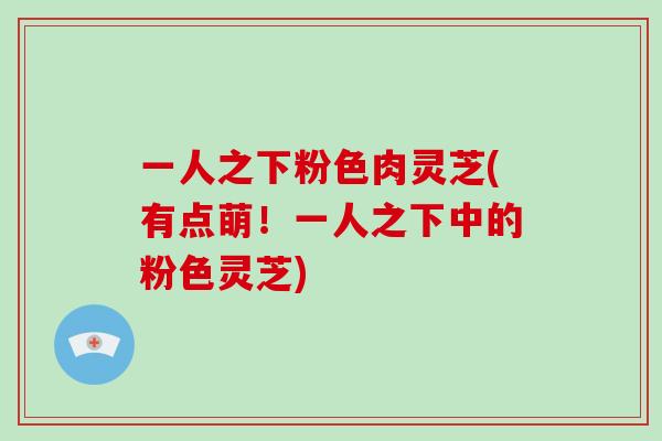 一人之下粉色肉灵芝(有点萌!一人之下中的粉色灵芝)