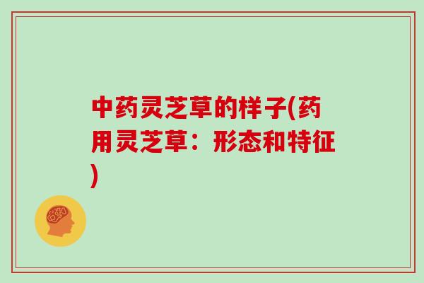 中药灵芝草的样子(药用灵芝草:形态和特征)