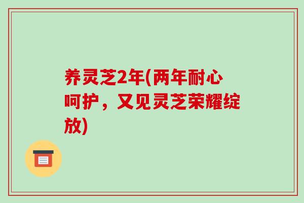 养灵芝2年(两年耐心呵护,又见灵芝荣耀绽放)