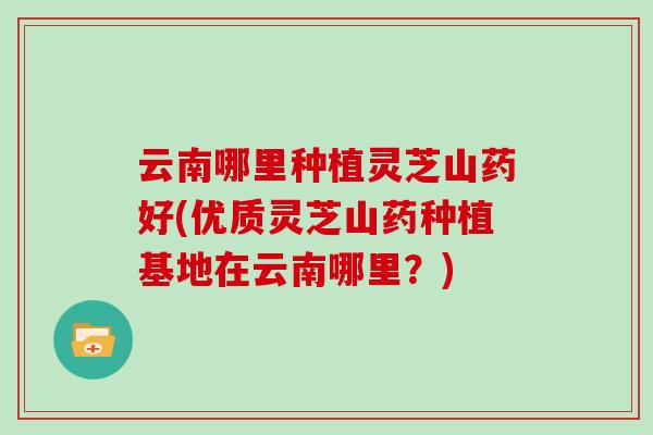 云南哪里种植灵芝山药好(优质灵芝山药种植基地在云南哪里？)