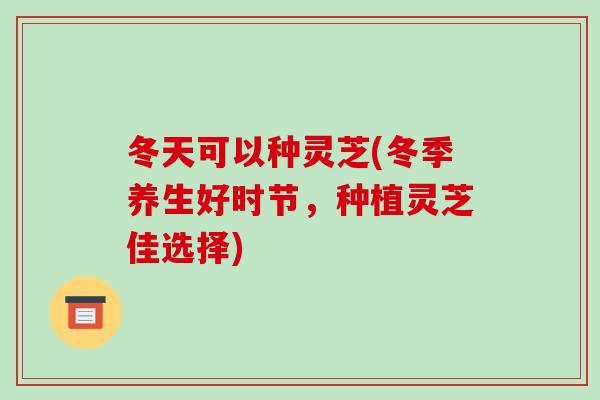 冬天可以种灵芝(冬季养生好时节,种植灵芝佳选择)