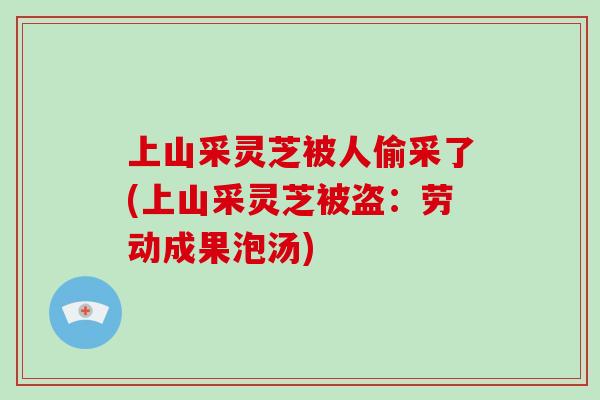 上山采灵芝被人偷采了(上山采灵芝被盗:劳动成果泡汤)