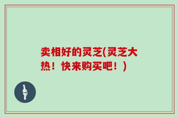 卖相好的灵芝(灵芝大热!快来购买吧!)