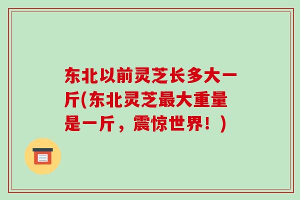 东北以前灵芝长多大一斤(东北灵芝最大重量是一斤,震惊世界!)