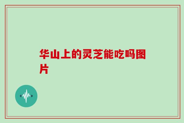 华山上的灵芝能吃吗图片