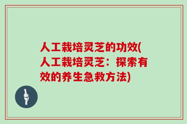 人工栽培灵芝的功效(人工栽培灵芝：探索有效的养生急救方法)