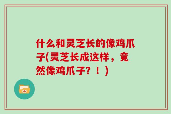 什么和灵芝长的像鸡爪子(灵芝长成这样，竟然像鸡爪子？！)
