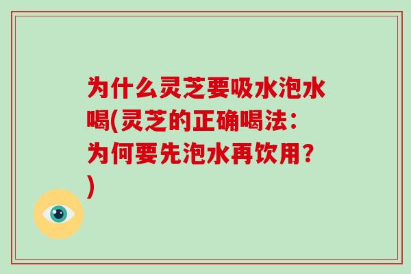 为什么灵芝要吸水泡水喝(灵芝的正确喝法:为何要先泡水再饮用?)