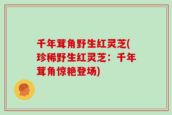 千年茸角野生红灵芝(珍稀野生红灵芝:千年茸角惊艳登场)