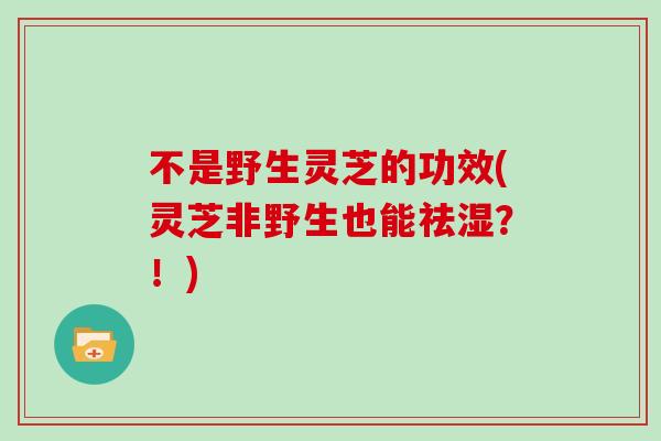 不是野生灵芝的功效(灵芝非野生也能祛湿？！)