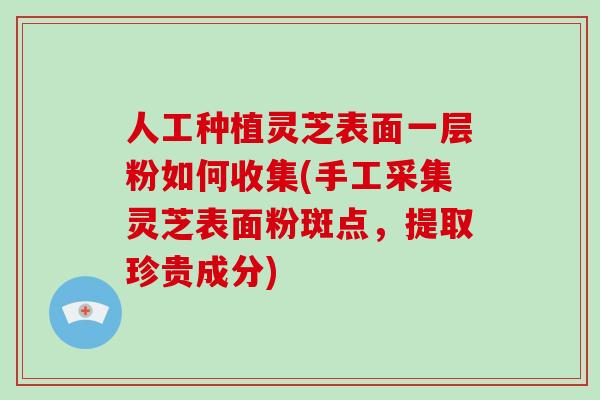 人工种植灵芝表面一层粉如何收集(手工采集灵芝表面粉斑点，提取珍贵成分)
