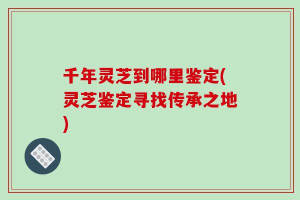 千年灵芝到哪里鉴定(灵芝鉴定寻找传承之地)