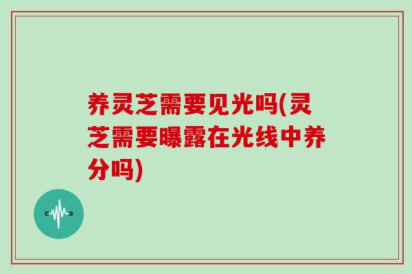 养灵芝需要见光吗(灵芝需要曝露在光线中养分吗)