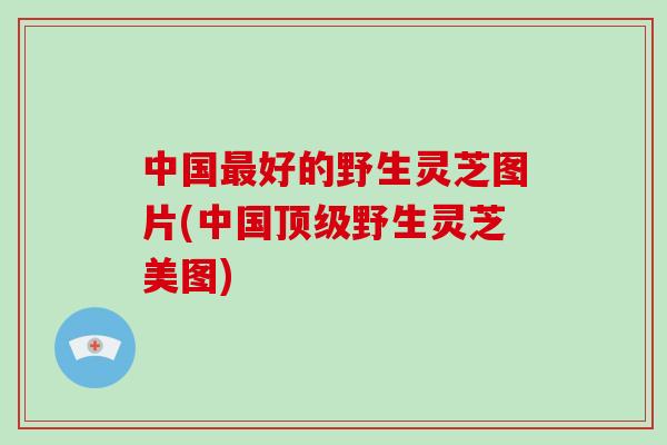 中国最好的野生灵芝图片(中国顶级野生灵芝美图)