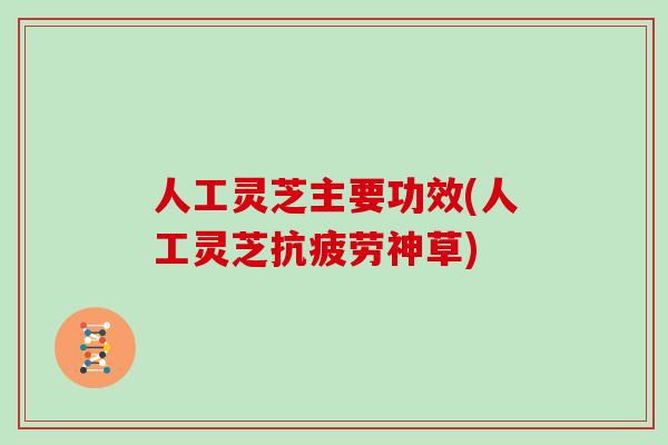 人工灵芝主要功效(人工灵芝抗疲劳神草)