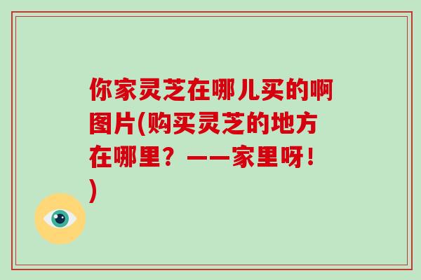 你家灵芝在哪儿买的啊图片(购买灵芝的地方在哪里？——家里呀！)