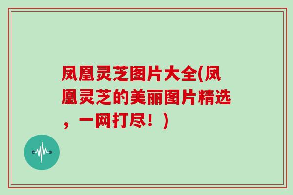 凤凰灵芝图片大全(凤凰灵芝的美丽图片精选,一网打尽!)