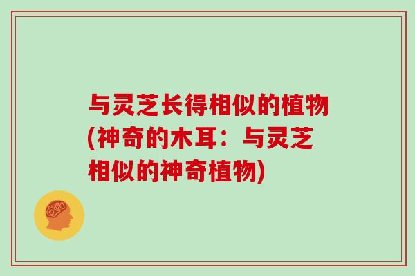 与灵芝长得相似的植物(神奇的木耳:与灵芝相似的神奇植物)