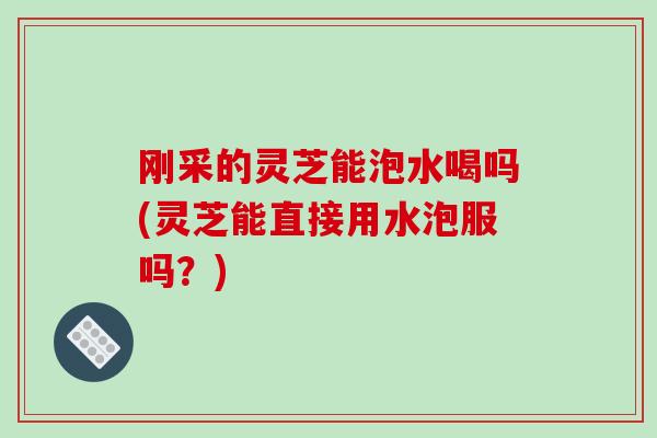 刚采的灵芝能泡水喝吗(灵芝能直接用水泡服吗?)
