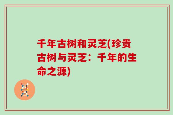 千年古树和灵芝(珍贵古树与灵芝:千年的生命之源)