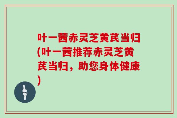 叶一茜赤灵芝黄芪当归(叶一茜推荐赤灵芝黄芪当归,助您身体健康)