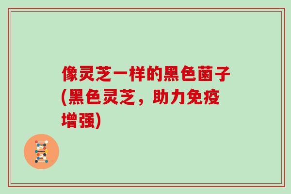 像灵芝一样的黑色菌子(黑色灵芝,助力免疫增强)